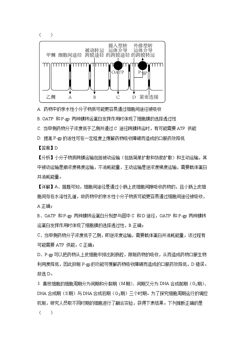 2024届山东新高考模拟生物试卷(解析版)第2页