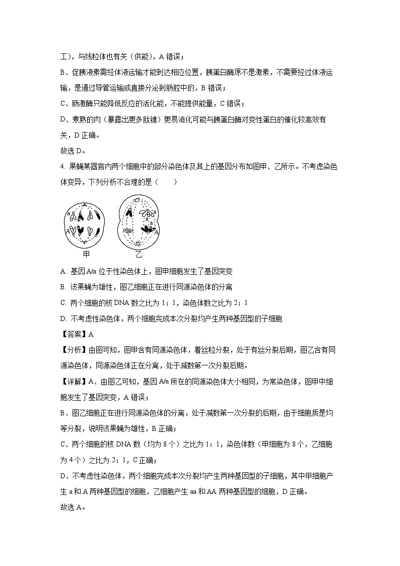 2024届广东省茂名市高州市高三下学期高考适应性考试(三模)生物试卷(解析版)第3页