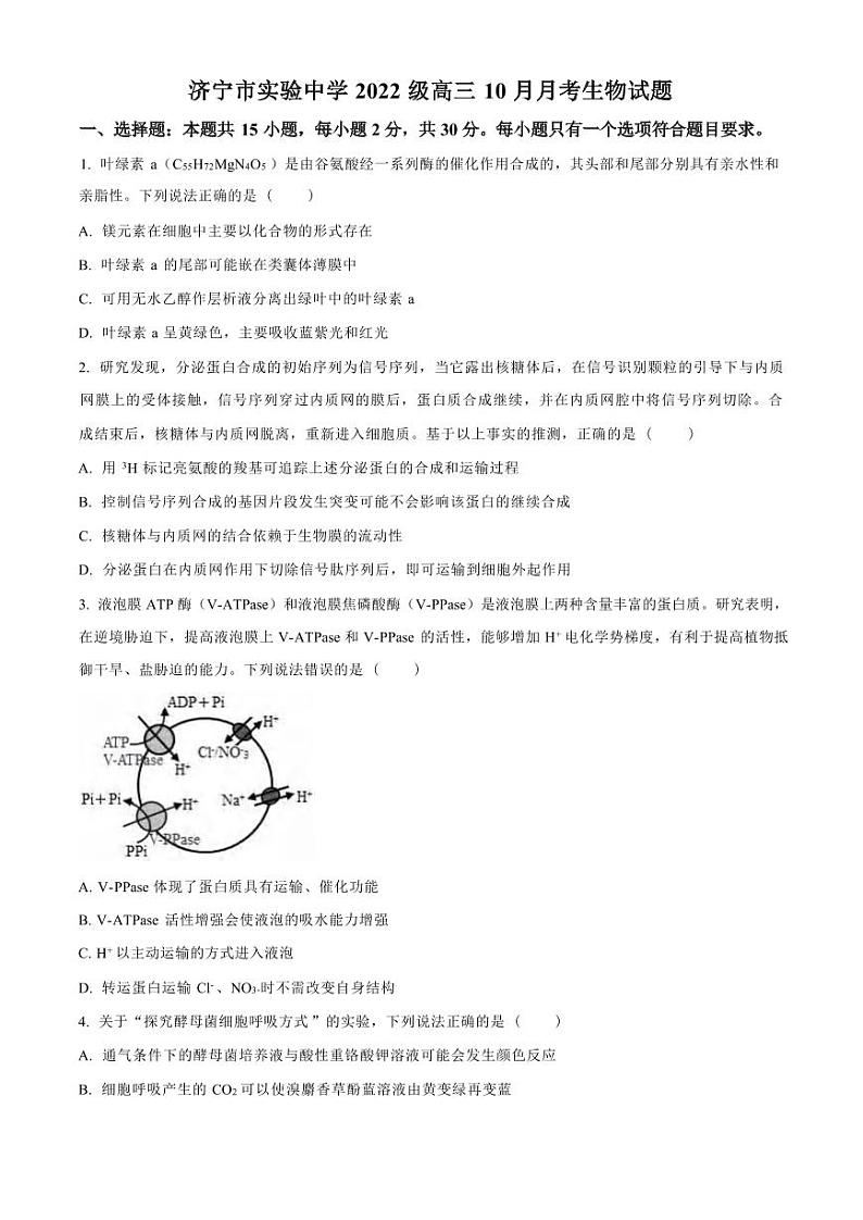 生物丨山东省济宁市实验中学2025届高三上学期10月月考生物试卷及答案第1页
