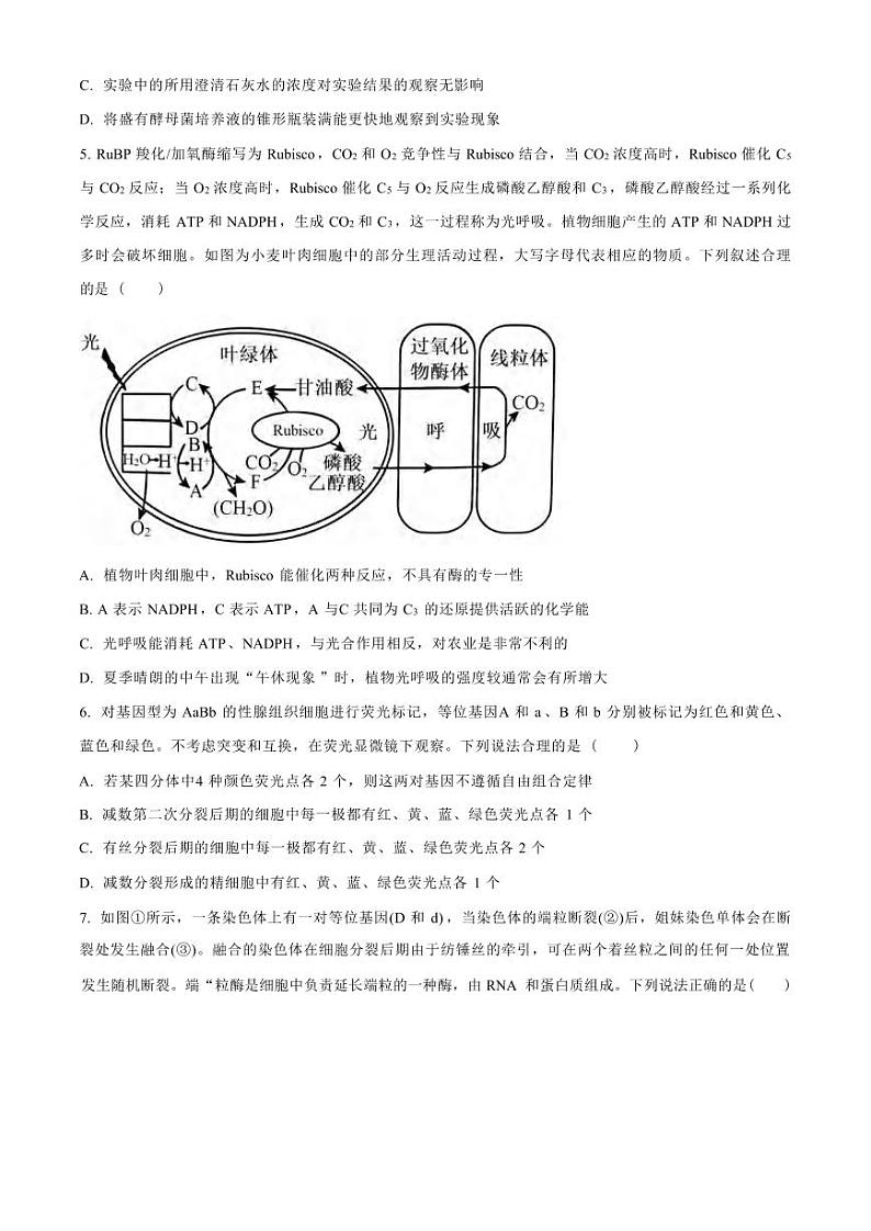 生物丨山东省济宁市实验中学2025届高三上学期10月月考生物试卷及答案第2页