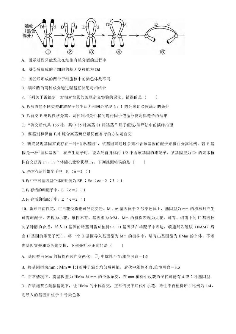 生物丨山东省济宁市实验中学2025届高三上学期10月月考生物试卷及答案第3页