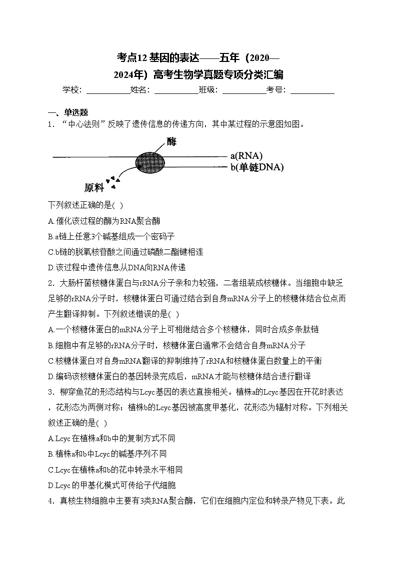 考点12 基因的表达——五年(2020—2024年)高考生物学真题专项分类汇编(含答案)第1页