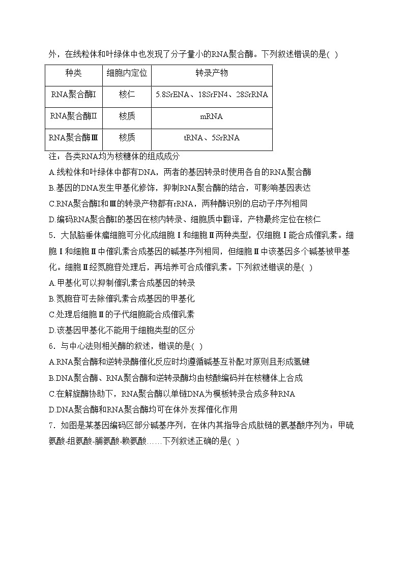 考点12 基因的表达——五年(2020—2024年)高考生物学真题专项分类汇编(含答案)第2页