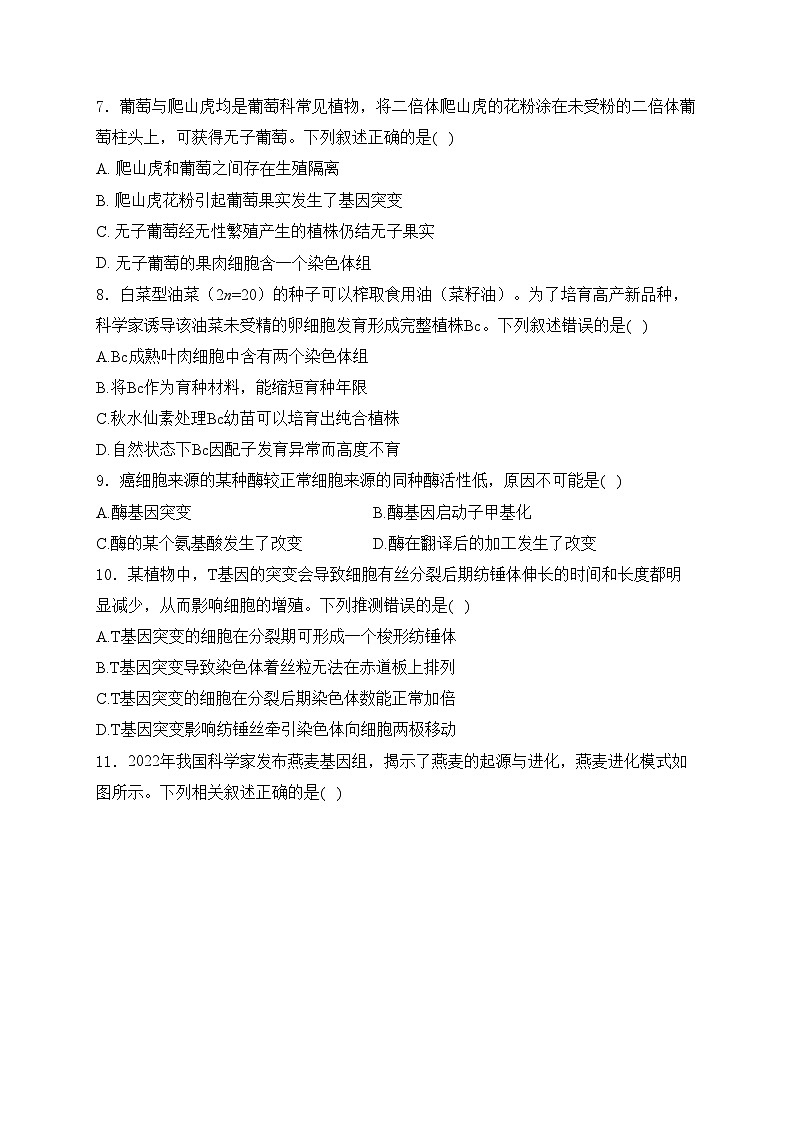 考点13 生物的变异——五年(2020—2024年)高考生物学真题专项分类汇编(含答案)第3页