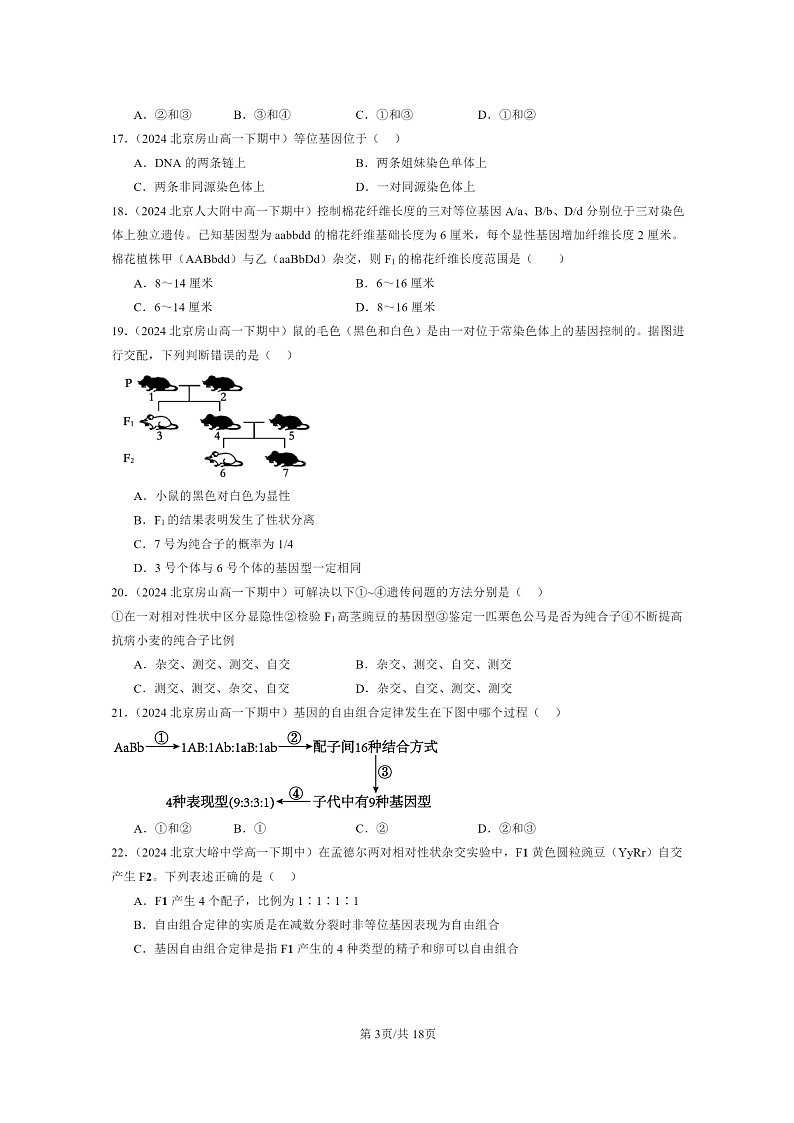 2024北京重点校高一下学期期中真题生物分类汇编:孟德尔的豌豆杂交实验(二)(单选题)第3页