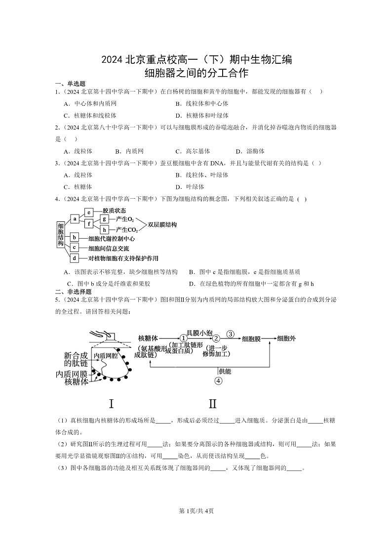 2024北京重点校高一下学期期中真题生物分类汇编:细胞器之间的分工合作第1页
