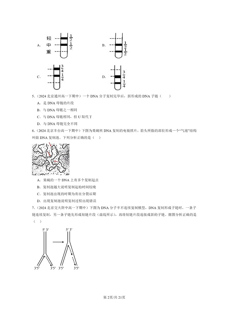 2024北京重点校高一下学期期中真题生物分类汇编:DNA的复制第2页