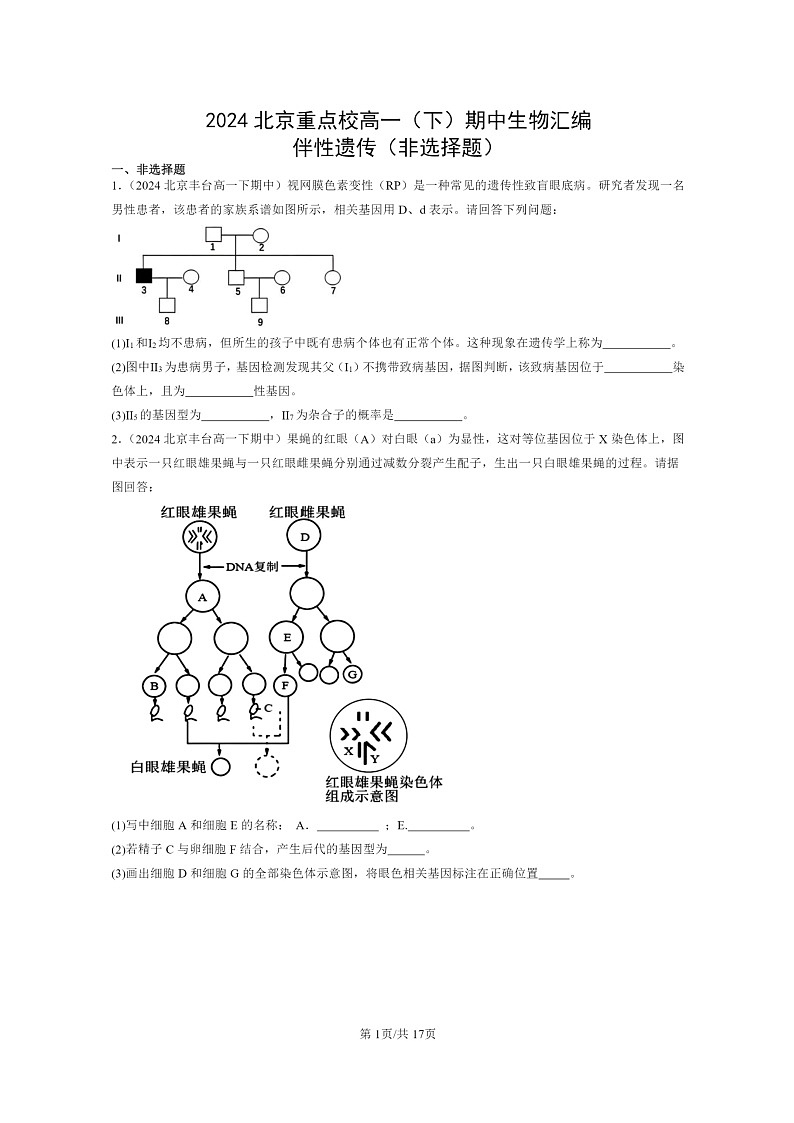 2024北京重点校高一下学期期中真题生物分类汇编:伴性遗传(非选择题)01