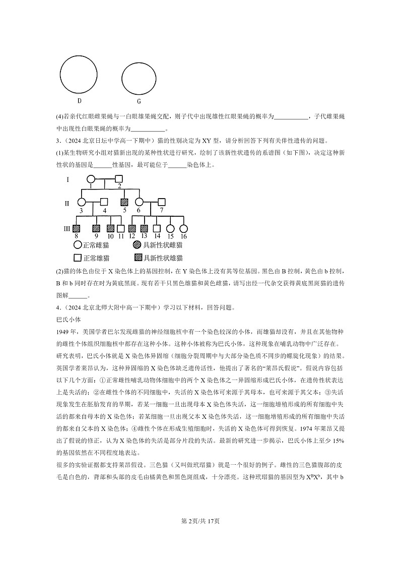 2024北京重点校高一下学期期中真题生物分类汇编:伴性遗传(非选择题)02