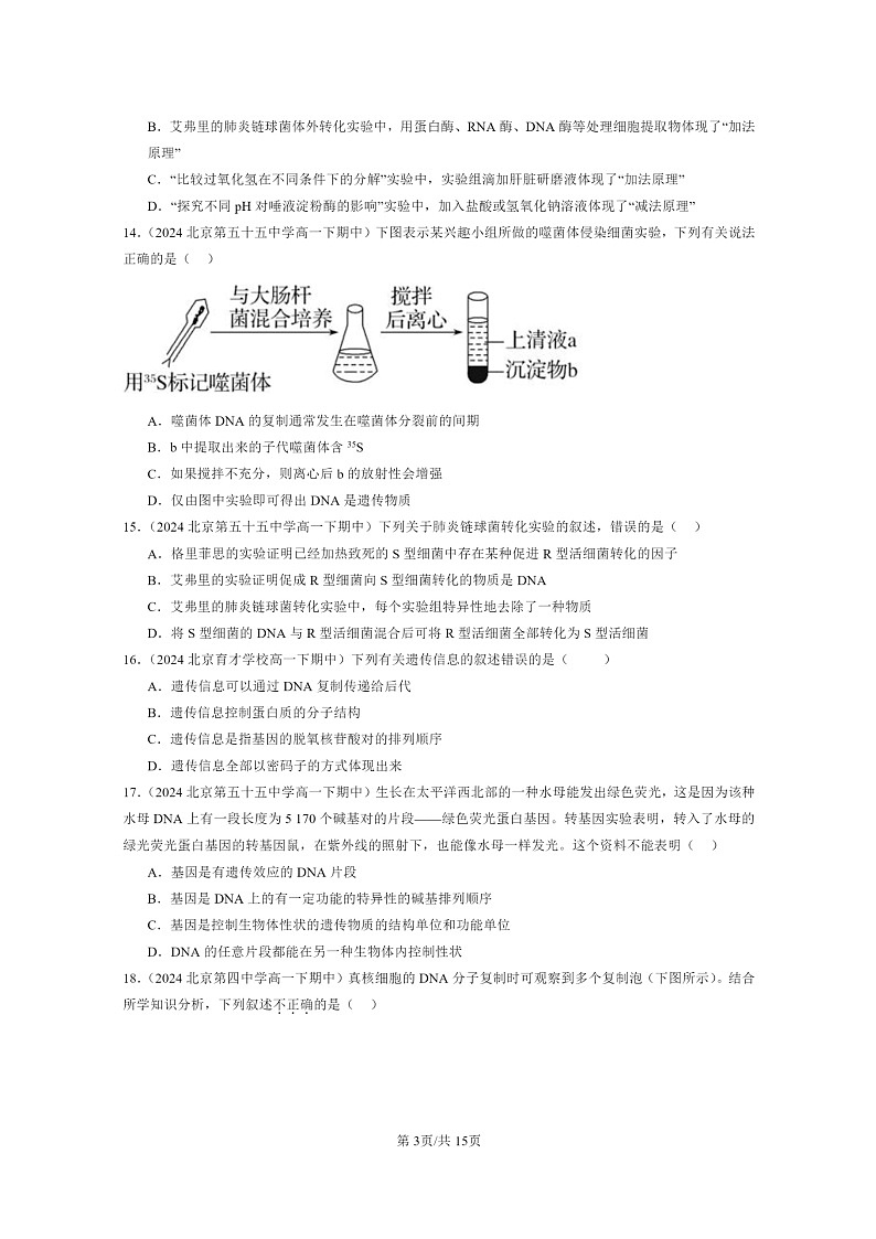 2024北京重点校高一下学期期中真题生物分类汇编:基因的本质章节综合(单选题)2第3页