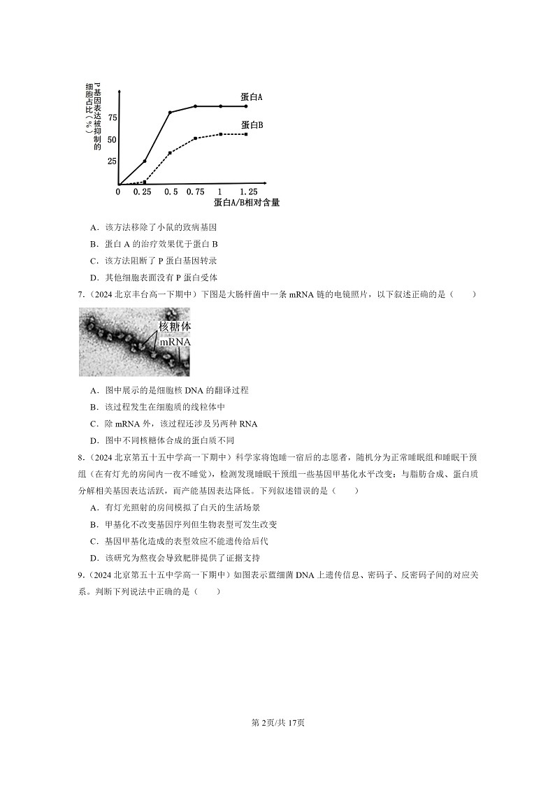2024北京重点校高一下学期期中真题生物分类汇编:基因的表达章节综合(单选题)第2页