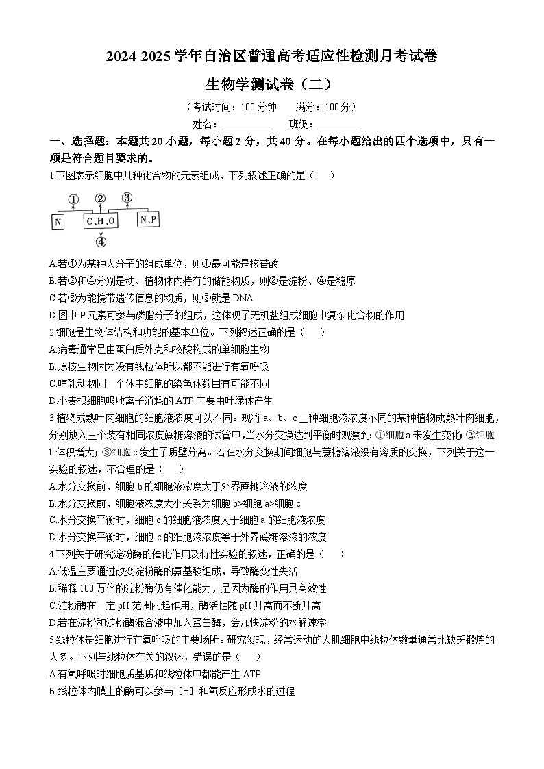 新疆维吾尔自治区部分学校2024-2025学年高三上学期普通高考适应性检测月考生物试卷第1页