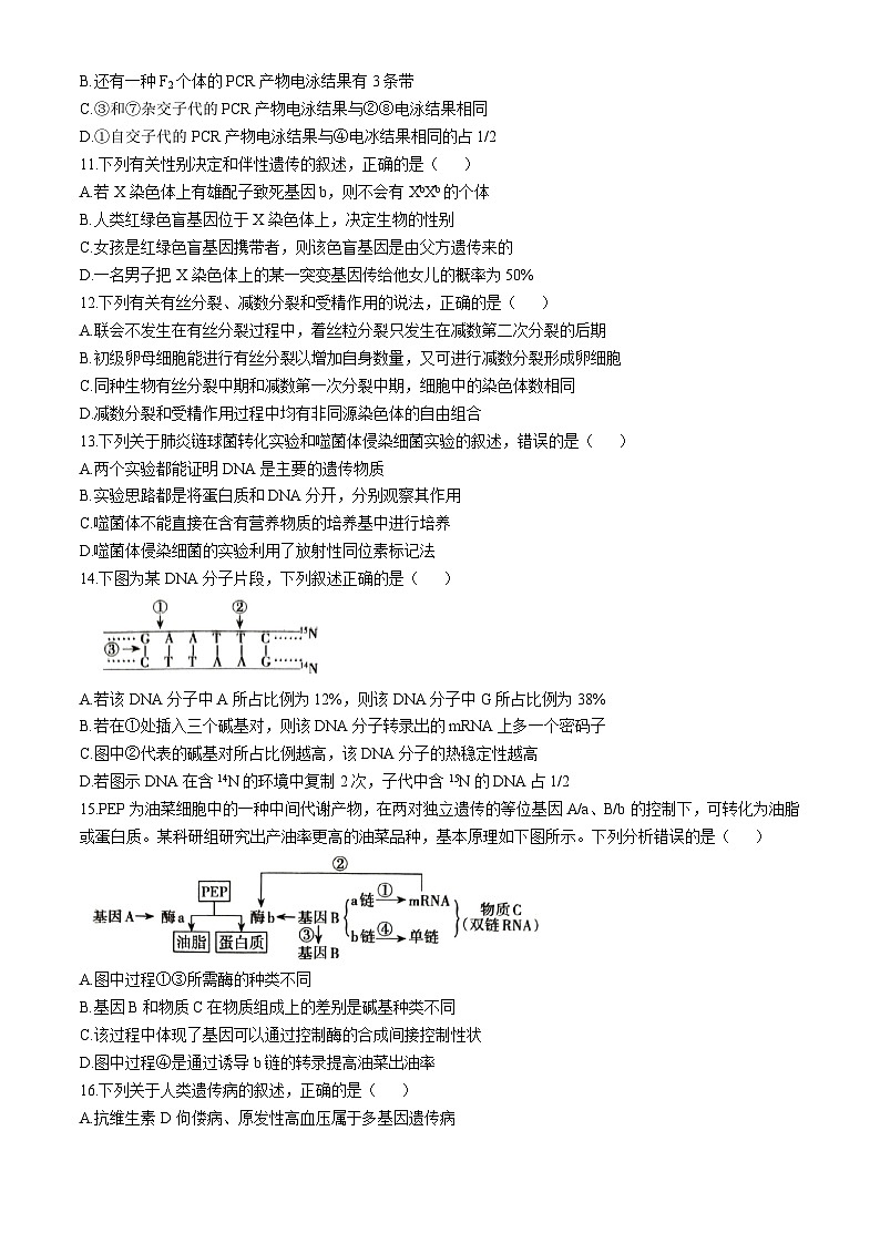 新疆维吾尔自治区部分学校2024-2025学年高三上学期普通高考适应性检测月考生物试卷第3页