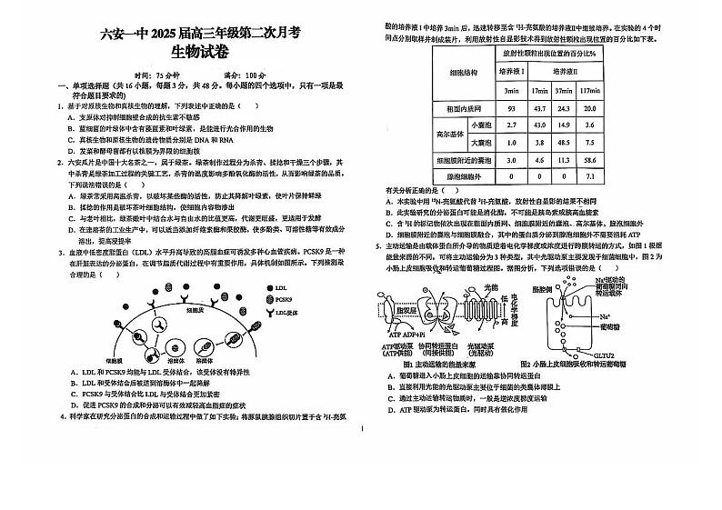 2025届安徽省六安一中高三上学期第一次月考-生物试题+答案第1页