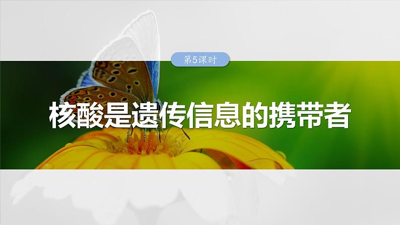 2025年高考生物一轮复习课件(新人教版) 第1单元 第5课时 核酸是遗传信息的携带者第1页