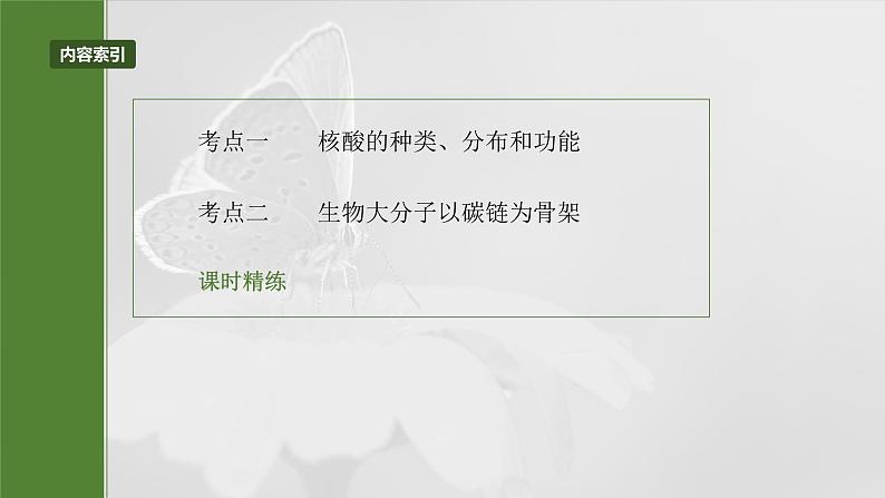 2025年高考生物一轮复习课件(新人教版) 第1单元 第5课时 核酸是遗传信息的携带者第3页