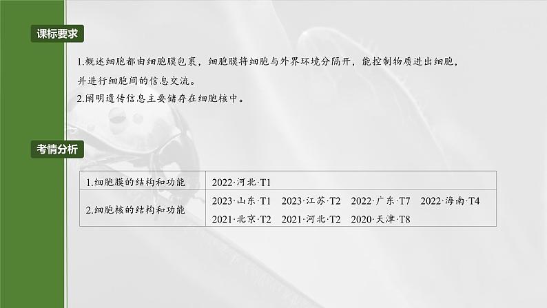 2025年高考生物一轮复习课件(新人教版) 第2单元 第6课时 细胞膜与细胞核的结构和功能第2页