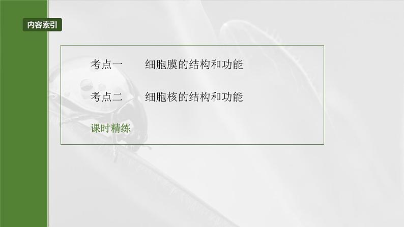 2025年高考生物一轮复习课件(新人教版) 第2单元 第6课时 细胞膜与细胞核的结构和功能第3页