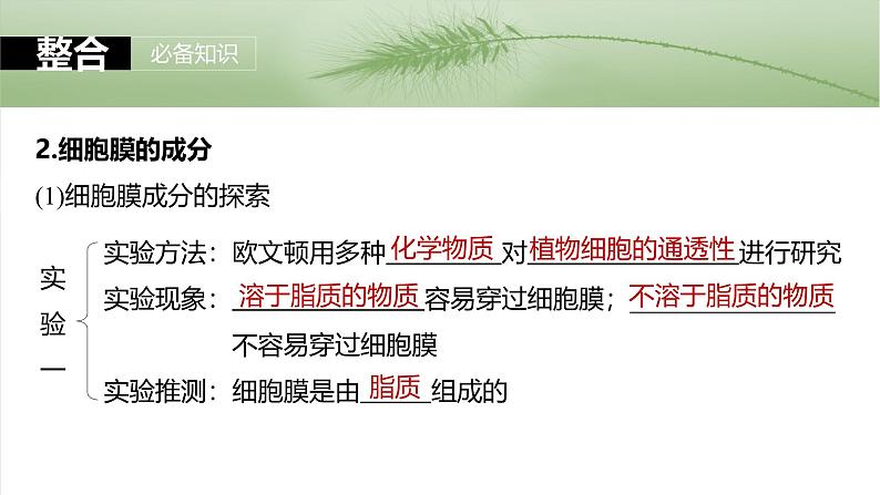 2025年高考生物一轮复习课件(新人教版) 第2单元 第6课时 细胞膜与细胞核的结构和功能第6页