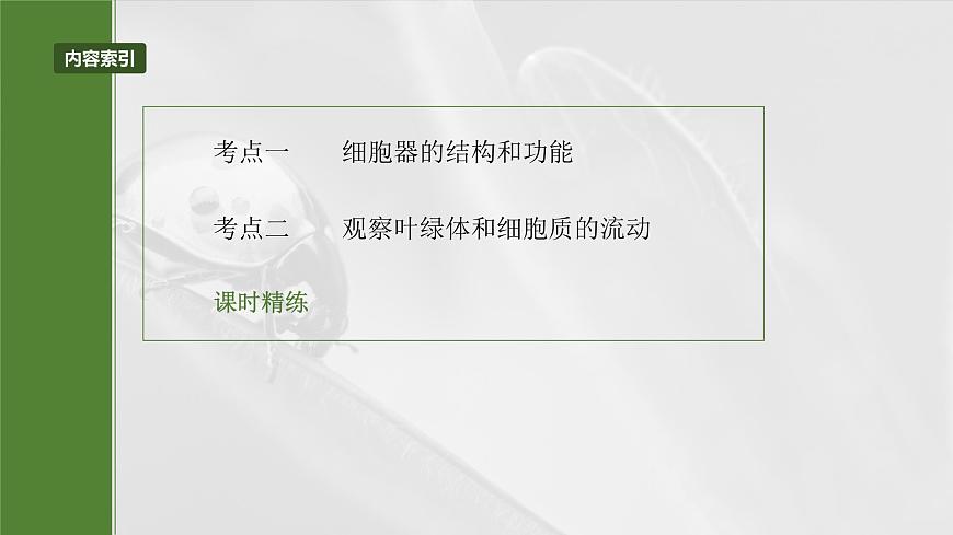 2025年高考生物一輪復(fù)習(xí)課件(新人教版) 第2單元 第7課時(shí) 細(xì)胞器之間的分工第3頁(yè)