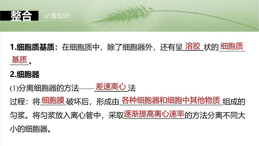 2025年高考生物一輪復(fù)習(xí)課件(新人教版) 第2單元 第7課時(shí) 細(xì)胞器之間的分工第5頁(yè)