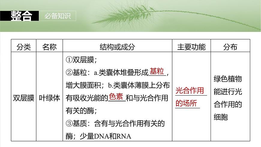 2025年高考生物一輪復(fù)習(xí)課件(新人教版) 第2單元 第7課時(shí) 細(xì)胞器之間的分工第7頁(yè)