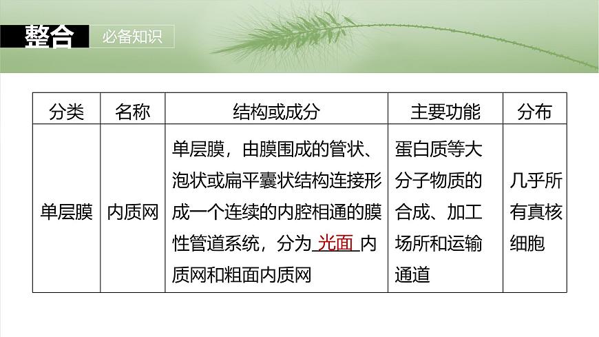 2025年高考生物一輪復(fù)習(xí)課件(新人教版) 第2單元 第7課時(shí) 細(xì)胞器之間的分工第8頁(yè)