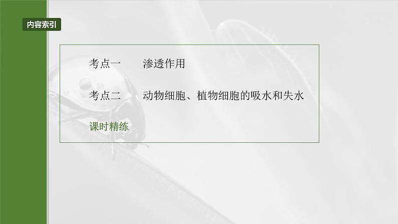 2025年高考生物一轮复习课件(新人教版) 第2单元 第9课时 水进出细胞的原理第3页