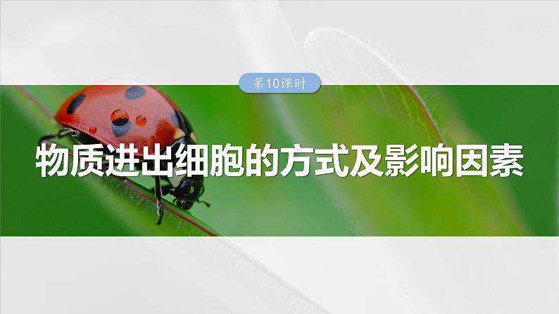 2025年高考生物一轮复习课件(新人教版) 第2单元 第10课时 物质进出细胞的方式及影响因素第1页