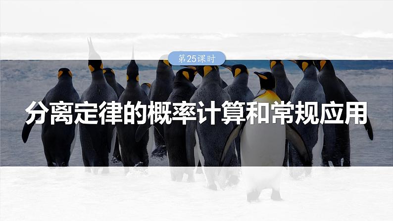 2025年高考生物一轮复习课件(新人教版) 第5单元 第25课时 分离定律的概率计算和常规应用01