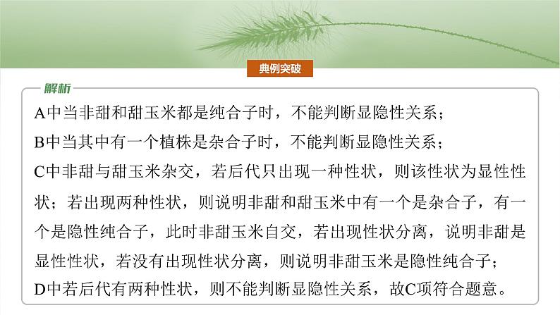 2025年高考生物一轮复习课件(新人教版) 第5单元 第25课时 分离定律的概率计算和常规应用07