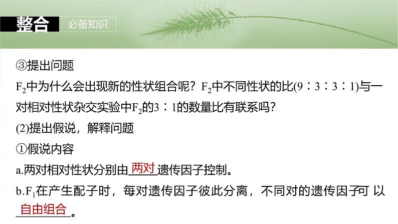 2025年高考生物一轮复习课件(新人教版) 第5单元 第26课时 自由组合定律第8页