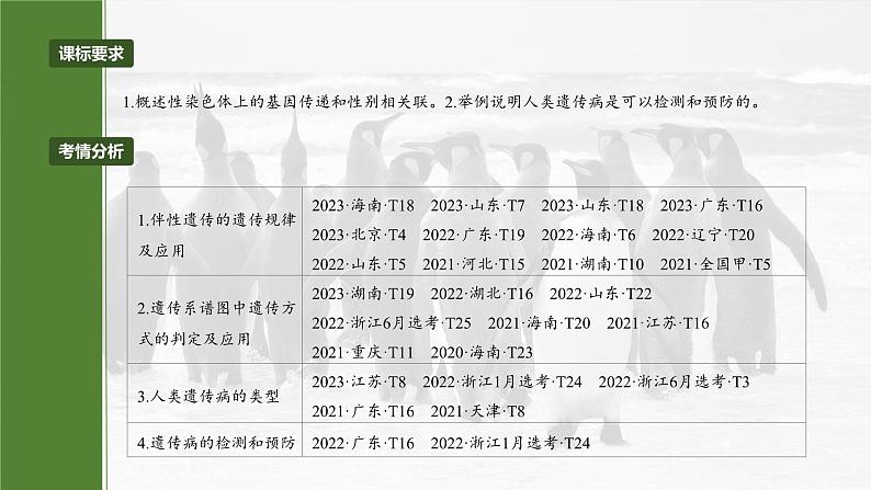 2025年高考生物一轮复习课件(新人教版) 第5单元 第28课时 伴性遗传和人类遗传病02
