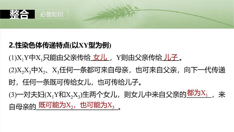 2025年高考生物一轮复习课件(新人教版) 第5单元 第28课时 伴性遗传和人类遗传病07