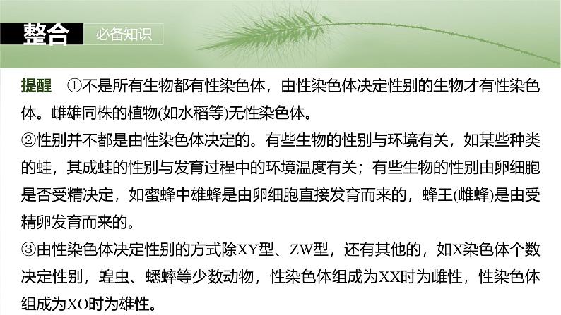 2025年高考生物一轮复习课件(新人教版) 第5单元 第28课时 伴性遗传和人类遗传病08