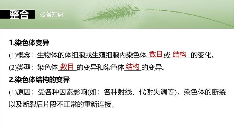 2025年高考生物一轮复习课件(新人教版) 第7单元 第34课时 染色体变异第5页