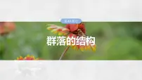 2025年高考生物一轮复习课件(新人教版) 第9单元 第49课时 群落的结构