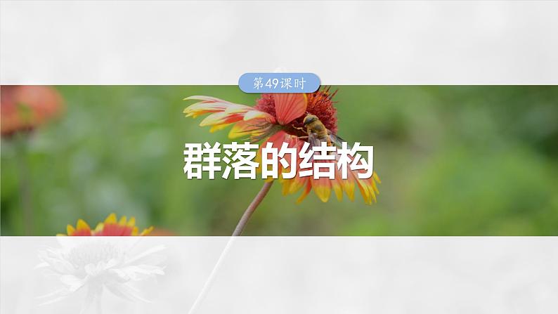 2025年高考生物一轮复习课件(新人教版) 第9单元 第49课时 群落的结构01