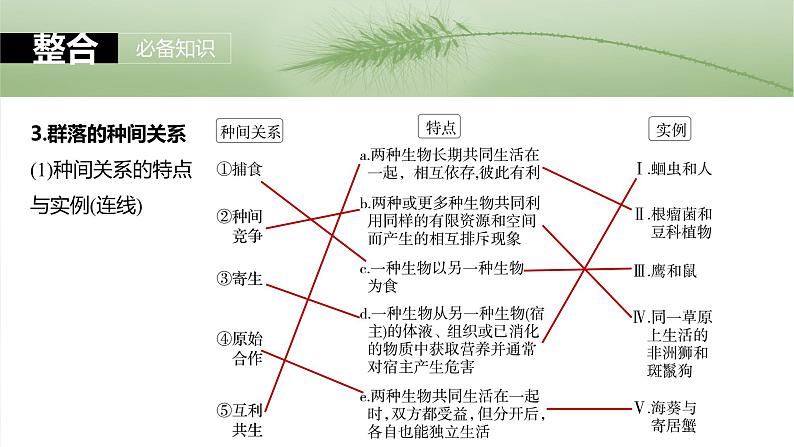 2025年高考生物一轮复习课件(新人教版) 第9单元 第49课时 群落的结构08
