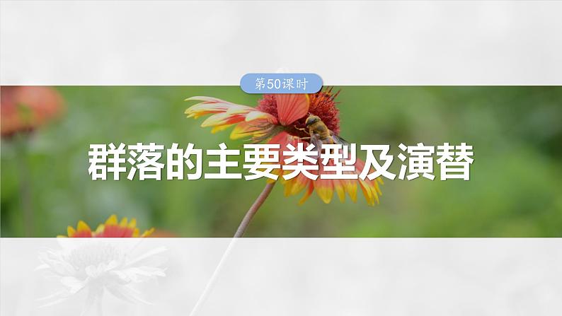 2025年高考生物一轮复习课件(新人教版) 第9单元 第50课时 群落的主要类型及演替01