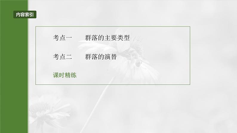 2025年高考生物一轮复习课件(新人教版) 第9单元 第50课时 群落的主要类型及演替03