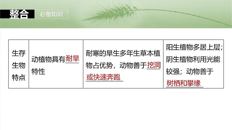 2025年高考生物一轮复习课件(新人教版) 第9单元 第50课时 群落的主要类型及演替07