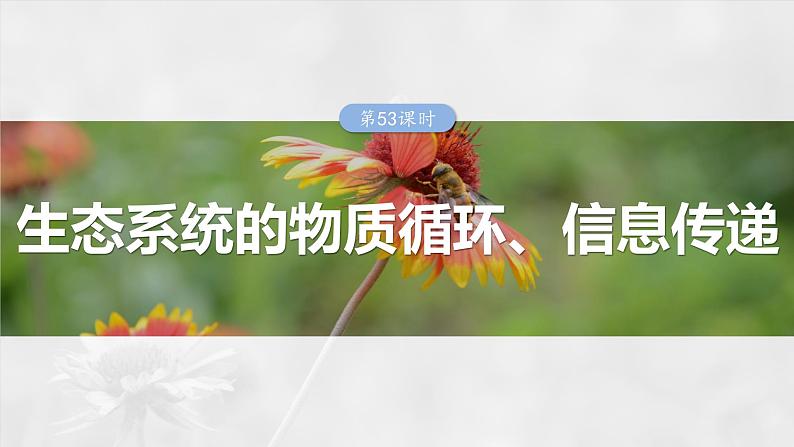 2025年高考生物一轮复习课件(新人教版) 第9单元 第53课时 生态系统的物质循环、信息传递01