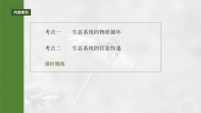 2025年高考生物一轮复习课件(新人教版) 第9单元 第53课时 生态系统的物质循环、信息传递03