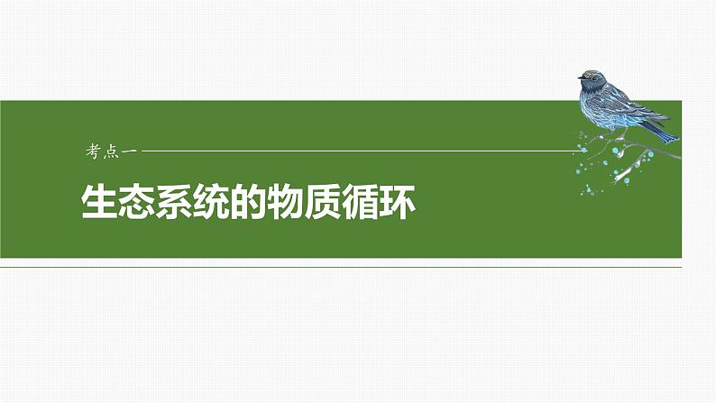 2025年高考生物一轮复习课件(新人教版) 第9单元 第53课时 生态系统的物质循环、信息传递04