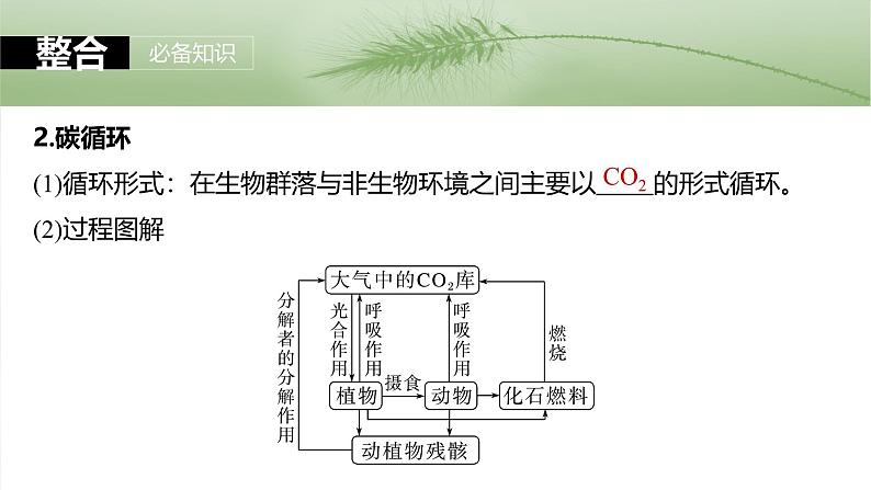 2025年高考生物一轮复习课件(新人教版) 第9单元 第53课时 生态系统的物质循环、信息传递06
