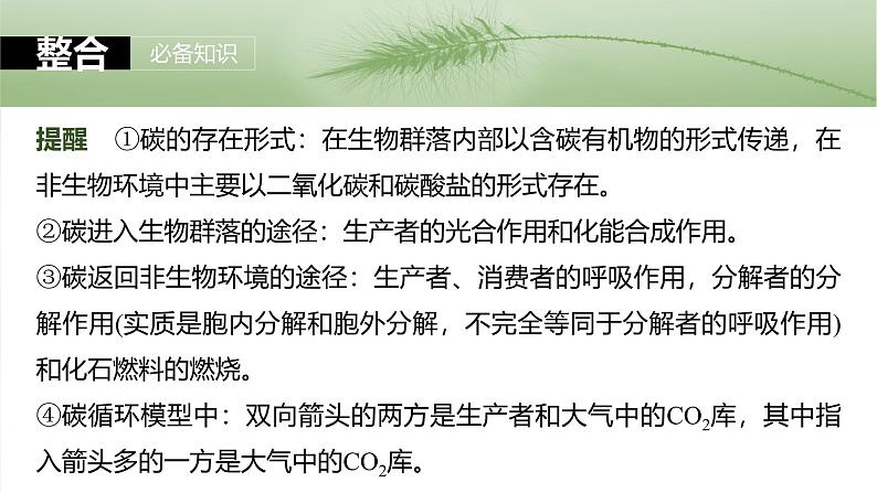 2025年高考生物一轮复习课件(新人教版) 第9单元 第53课时 生态系统的物质循环、信息传递07
