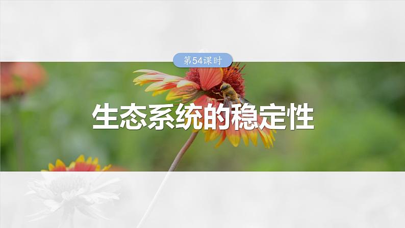 2025年高考生物一轮复习课件(新人教版) 第9单元 第54课时 生态系统的稳定性第1页