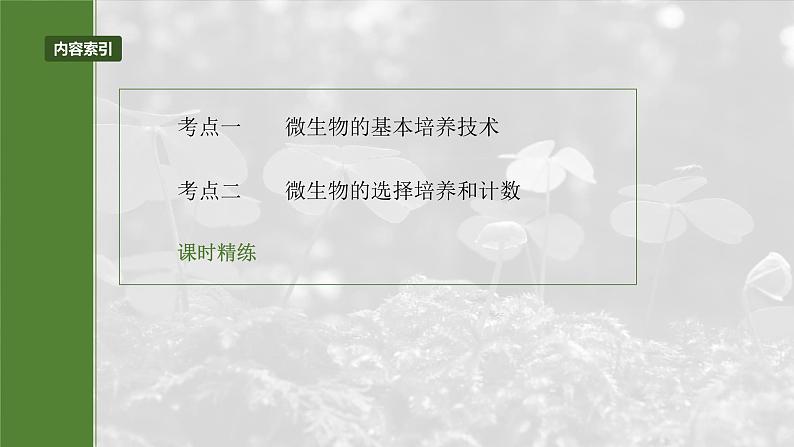 2025年高考生物一轮复习课件(新人教版) 第10单元 第57课时 微生物的培养技术与应用03