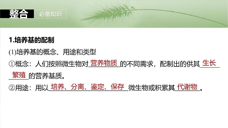 2025年高考生物一轮复习课件(新人教版) 第10单元 第57课时 微生物的培养技术与应用05